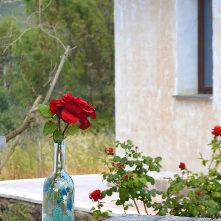 Rubinu בית חווה Galtellì